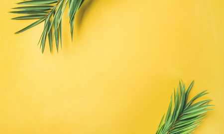 Flat-lay of green palm branches over yellow background, top view, copy space, wide composition. Summer vacation, travel or fashion conceptの写真素材