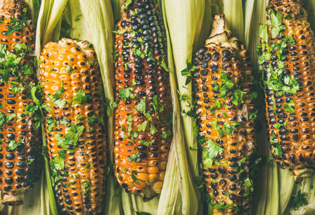 Summer vegan dinner or snack. Flat-lay of grilled sweet corn with smoked sea salt and cilantro, top view. Vegetarian, healthy, alkaline diet conceptの写真素材
