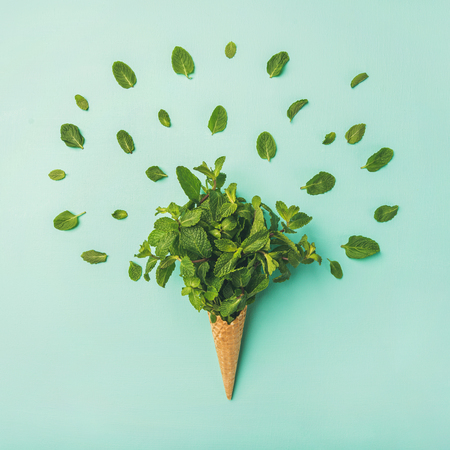 Flat-lay of waffle sweet cone with fresh mint over light blue pastel background, top view, horizontal composition. Spring or summer mood concept, square cropの写真素材