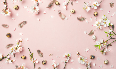 Flat-lay of tender Spring almond blossom flowers on branchesの写真素材