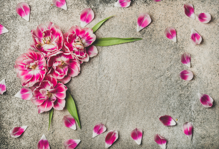 Flat-lay of pattern frame made of pink tulip flower petals over rough grey concreteの写真素材