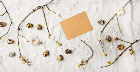 Easter holiday Spring mood flat-lay with blooming branches of almond tree with white flowersの写真素材