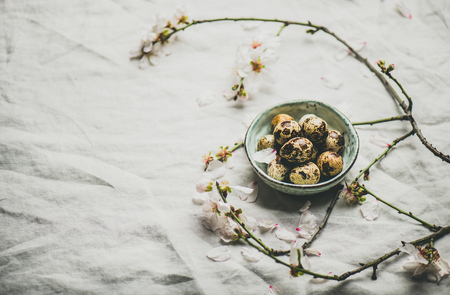 Easter holiday Spring mood with quail eggs in blue ceramic bowl and blooming branches of almond tree with white flowersの写真素材