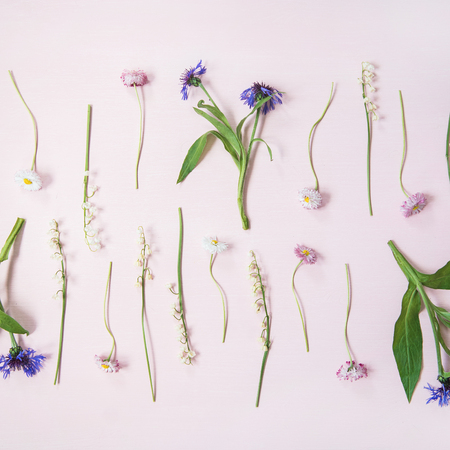 Spring floral layout. Flat-lay of lily of the valley, cornflower, daisy, peony garden flowers in rows over pastel powder pink background, top view, square crop. Floral background, texture, wallpaperの写真素材