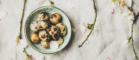 Easter holiday Spring mood flat-lay with quail eggs in blue ceramic bowl and blooming branches of almond tree with white flowers over light gray linen tablecloth, top view, wide compositionの写真素材