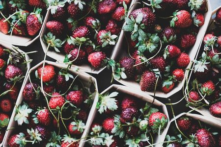 Fresh seasonal summer local market fruit produce texture, wallpaper and background. Flat-lay of garden harvest strawberries in eco-friendly plastic-free boxes, top view, close-upの写真素材