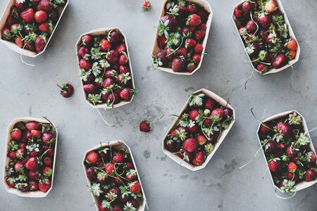 Fresh seasonal summer local market fruit produce. Flat-lay of garden harvest strawberries in eco-friendly plastic-free boxes over grey concrete background, top viewの写真素材