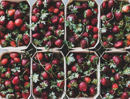 Fresh seasonal summer local market fruit produce texture, wallpaper and background. Flat-lay of garden harvest strawberries in eco-friendly plastic-free boxes, top viewの写真素材