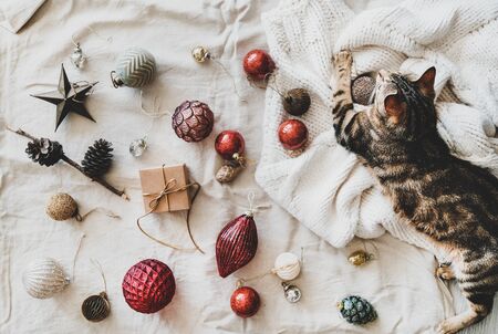 Christmas or New Year holiday background, texture and wallpaper. Flat-lay of Christmas festive decoration toys and home tiger cat over beige linen cloth and knitted sweater, top viewの写真素材