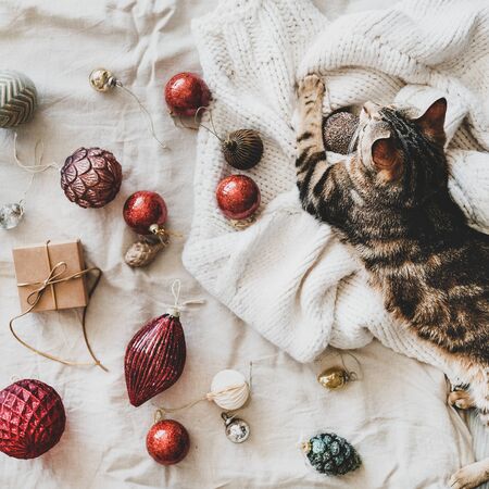 Christmas or New Year holiday background, texture and wallpaper. Flat-lay of Christmas festive decoration toys and home tiger cat over beige linen cloth and knitted sweater, top view, square cropの写真素材