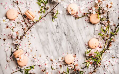 Flat-lay of sweet macaron cookies and white spring blossom flowers over white marble background, top view, copy space, horizontal compositionの写真素材