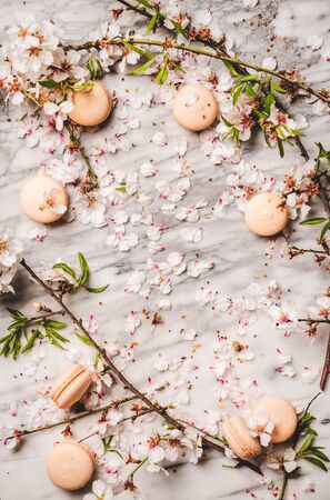 Flat-lay of sweet macaron cookies and white spring blossom flowers over white marble background, top view, copy spaceの写真素材