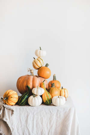Colorful pumpkins of different shapes and size in pyramid composition on light tablecloth, white wall at background. Pumpkins for Halloween or Thanksgiving Day Autumn holiday decoration conceptの写真素材