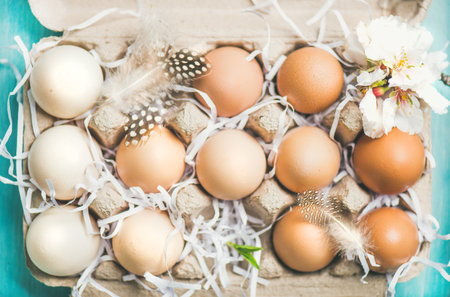 Easter holiday background. Flat-lay of natural colored eggs in box, tender almond blossom flower and feather over light blue background, top view, close-up. Greeting card conceptの写真素材