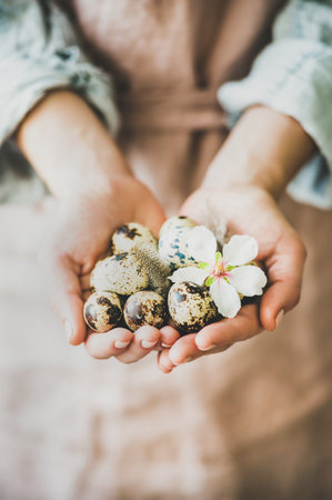 Easter holiday greeting card. Natural colored eggs in feminine hands with tender Spring almond blossom flower and feather.の写真素材