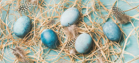 Blue painted traditional eggs for Easter holiday in hay and feathers over blue background, top view, wide compositionの写真素材