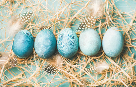 Blue painted traditional eggs for Easter holiday in hay and feathers in row over blue background, top viewの写真素材