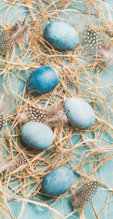 Blue painted traditional eggs for Easter in hay and feathers over blue background, top view, vertical compositionの写真素材