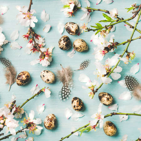 Easter holiday background, texture and wallpaper. Flat-lay of Spring almond blossom flowers on branch, feathers and quail eggs over light blue background, top view, square crop. Greeting card conceptの写真素材