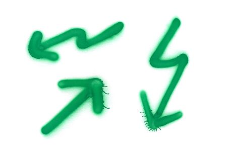 Graffiti lighting signs sprayed on white isolated background. Symbols painted in street art tag style in green colorの写真素材
