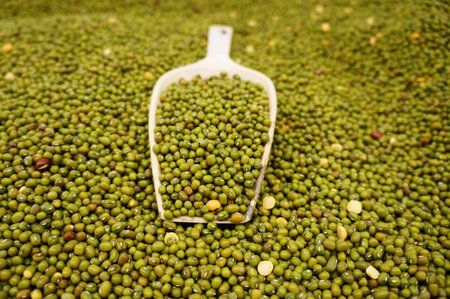 green beansの写真素材