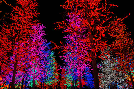 garden light treeの写真素材