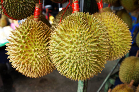durian fruits