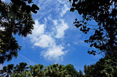 between heaven and earth