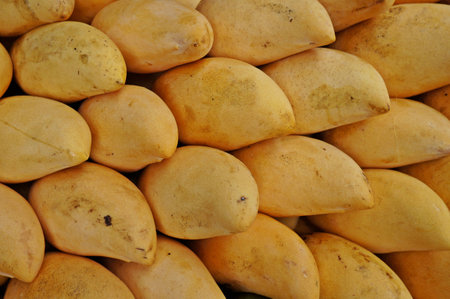 yellow mangoの写真素材