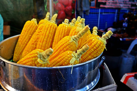 corn on the cobの写真素材