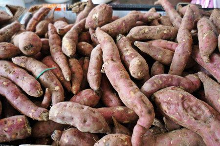 tubersの写真素材