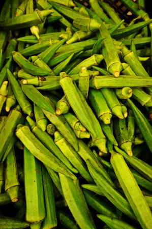pea green gig