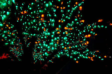 garden lighting theme