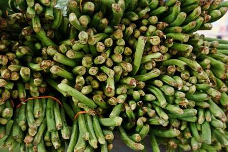 Long beans closeup. Healthy vegetablesの写真素材