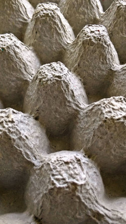 an ordinary pattern egg box