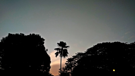 beautiful afternoon sky scenery