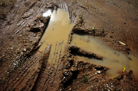 dirty muddy rickshaw ground traces of tire tracks