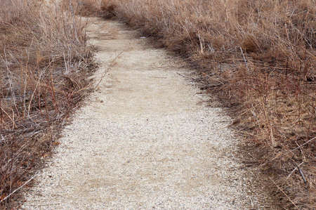 walking path in Winter seasonの写真素材