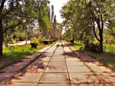 Allley in an old parkの写真素材