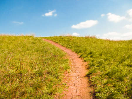 The pathway on the hill with green grass leading up to a blue sky with white clouds