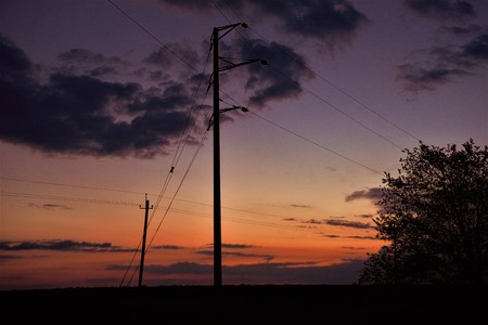 Electric poles and tree in a field against a background of sunset skyの写真素材