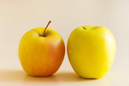two yellow ripe apples on the table.の写真素材