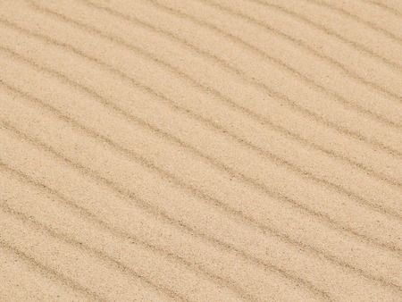 Diagonal waves of sand. Sandy texture backgroundの写真素材