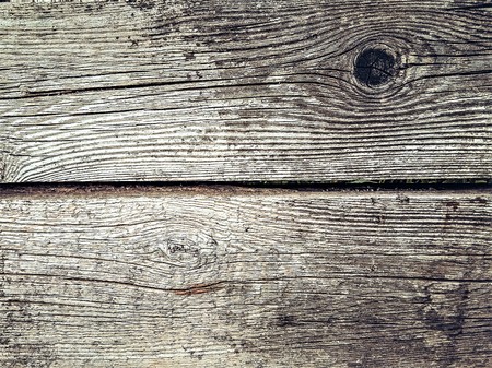 Old rustic weathered wooden background in gray with a knot
