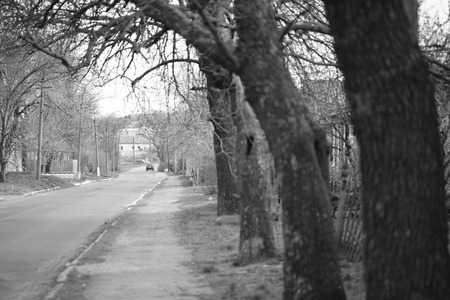 Asphalt country road with pavement and trees, in black and white.の写真素材