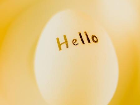 White chicken egg with black inscription hello on a yellow background