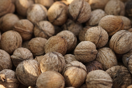 Walnuts in the peel close-up.