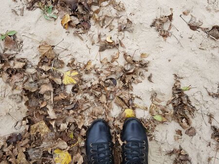 black boots on a sandy beach among brown dry autumn leavesの写真素材