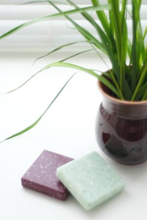 Fresh green plant in a vase and two square stones on the windowsill. Designed in a minimalist style.