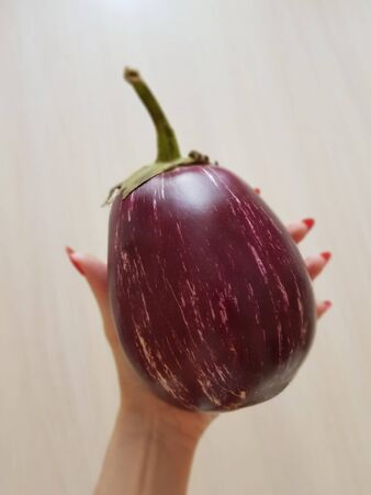 female hand with a red manicure holds a ripe purple eggplant.の写真素材